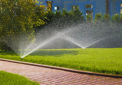a green lawn installed and maintained by our Rockwall sprinkler repair team